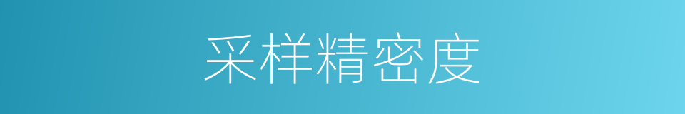 采样精密度的同义词