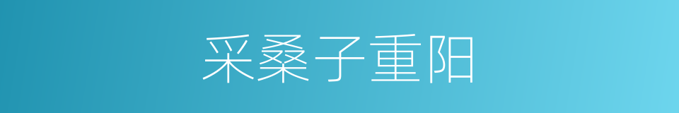 采桑子重阳的同义词