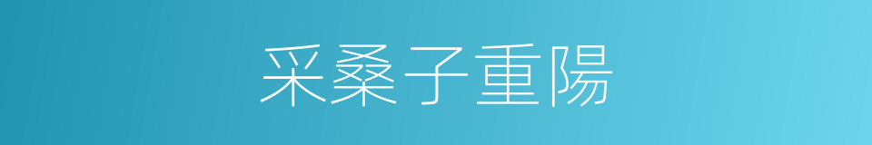 采桑子重陽的同義詞