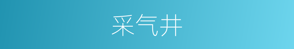 采气井的同义词