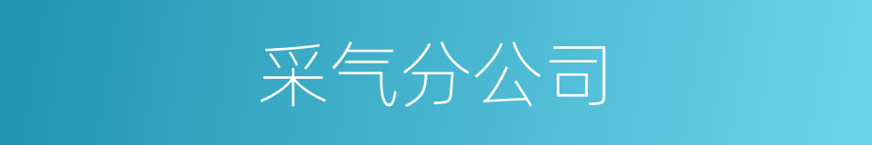 采气分公司的同义词