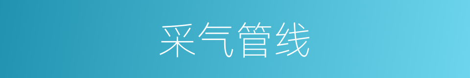 采气管线的同义词