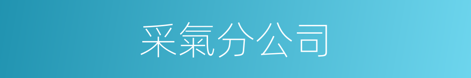 采氣分公司的同義詞