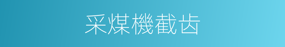 采煤機截齿的同義詞