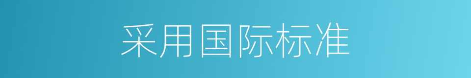采用国际标准的同义词