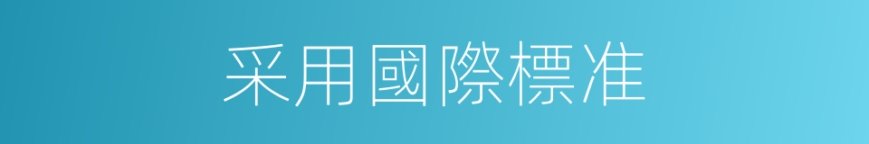 采用國際標准的同義詞