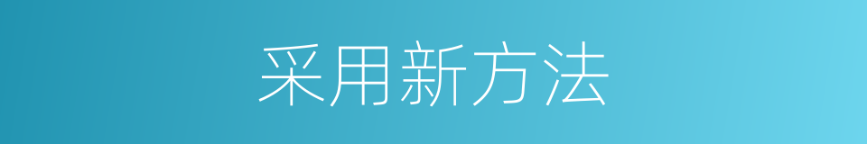 采用新方法的同义词