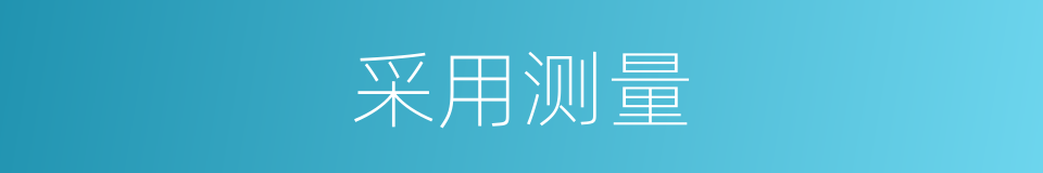 采用测量的同义词