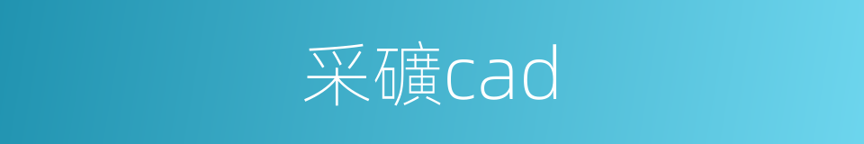 采礦cad的同義詞