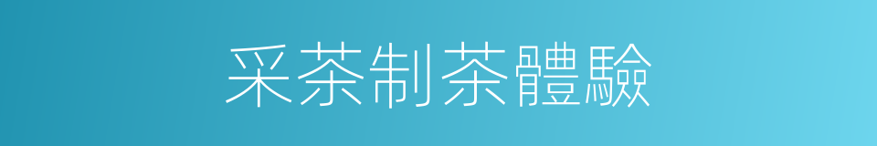 采茶制茶體驗的同義詞