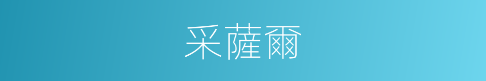 采薩爾的同義詞