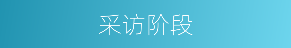 采访阶段的同义词