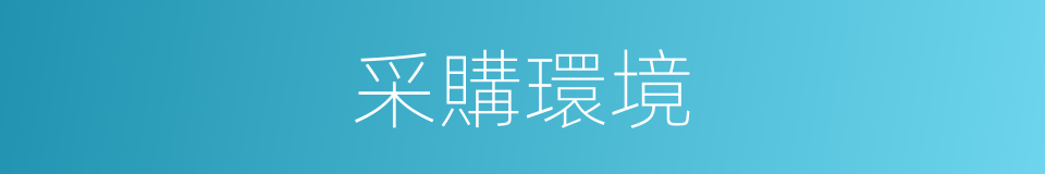 采購環境的同義詞