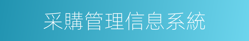 采購管理信息系統的同義詞