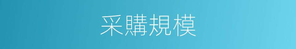 采購規模的同義詞