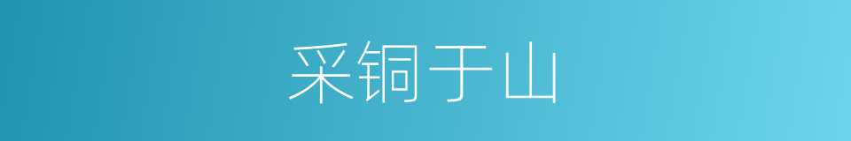 采铜于山的同义词