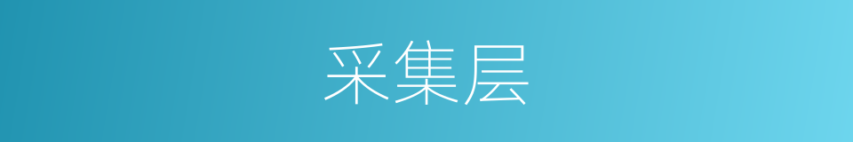 采集层的同义词