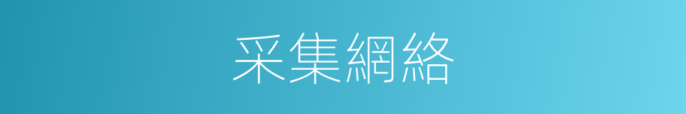 采集網絡的同義詞
