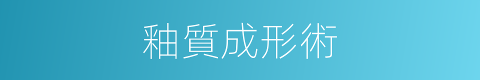 釉質成形術的同義詞