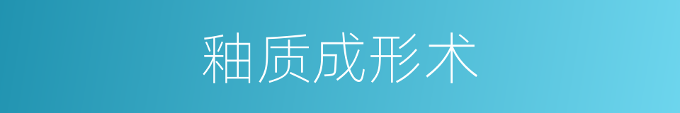 釉质成形术的同义词