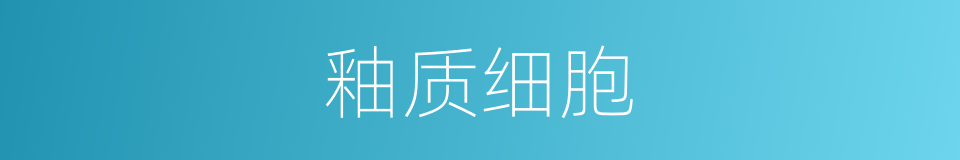 釉质细胞的同义词