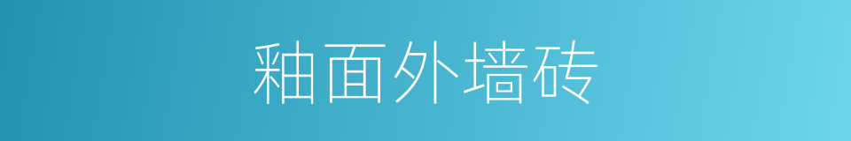 釉面外墙砖的同义词