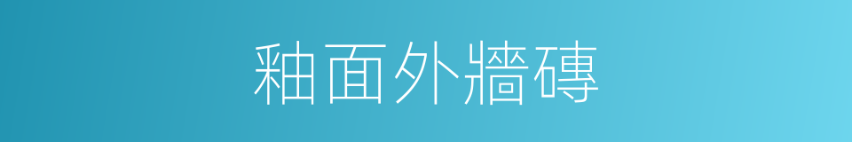 釉面外牆磚的同義詞