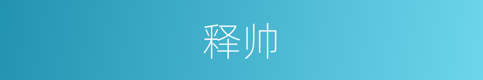释帅的同义词
