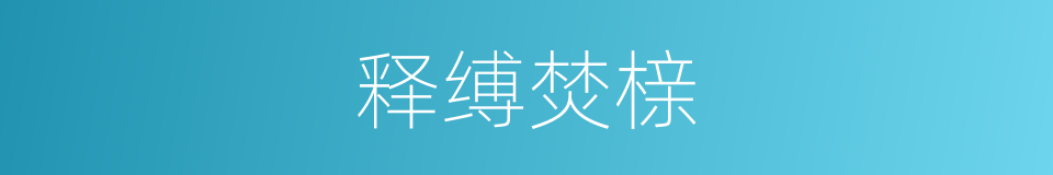 释缚焚榇的同义词
