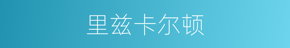 里兹卡尔顿的同义词
