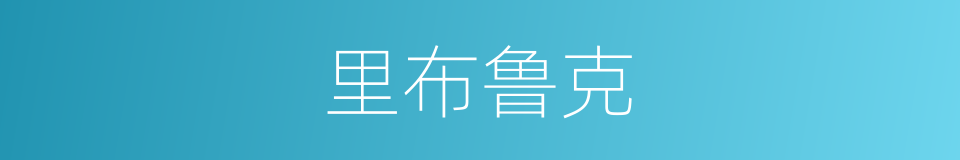 里布鲁克的同义词