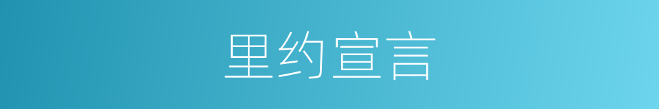 里约宣言的同义词