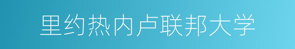 里约热内卢联邦大学的同义词