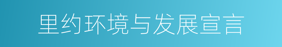 里约环境与发展宣言的同义词