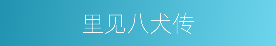 里见八犬传的同义词