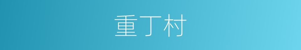 重丁村的同义词