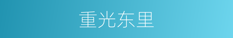 重光东里的同义词