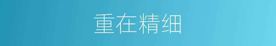 重在精细的同义词