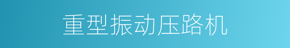 重型振动压路机的同义词
