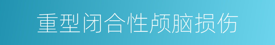 重型闭合性颅脑损伤的同义词