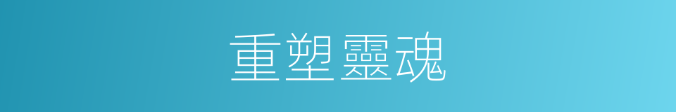 重塑靈魂的同義詞