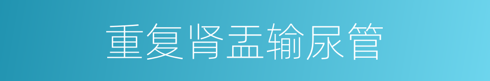 重复肾盂输尿管的同义词