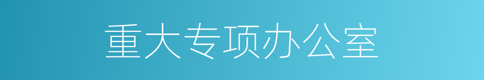 重大专项办公室的同义词