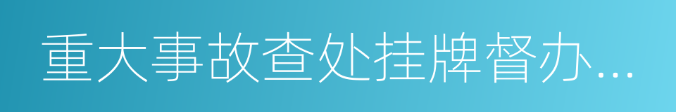 重大事故查处挂牌督办办法的同义词