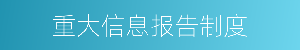 重大信息报告制度的同义词