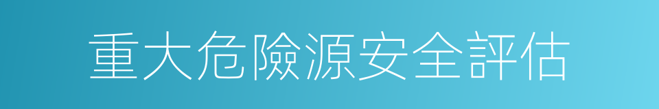 重大危險源安全評估的同義詞