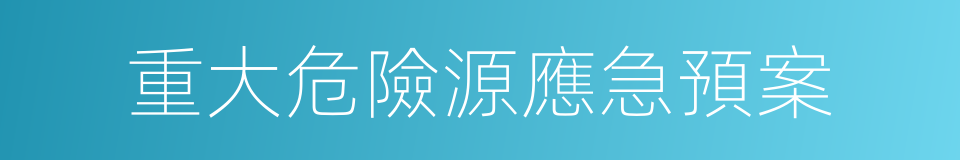 重大危險源應急預案的同義詞