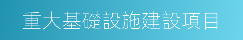 重大基礎設施建設項目的同義詞