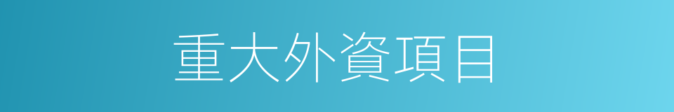 重大外資項目的同義詞