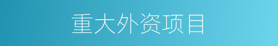 重大外资项目的同义词